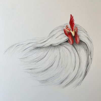 Connie Saems Chicken