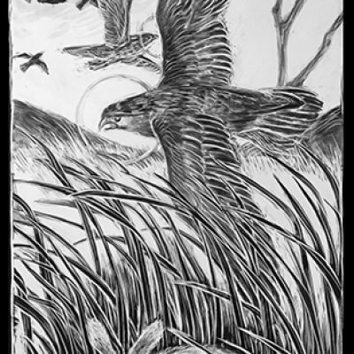 Ellen LeBow the Herd and the Crow