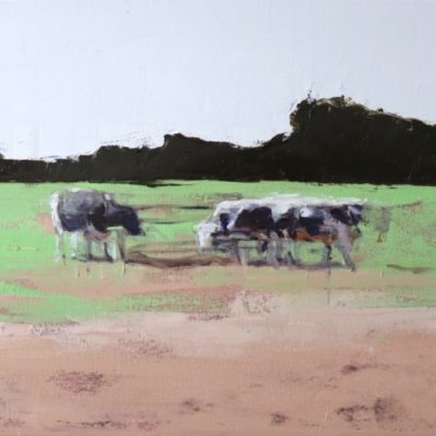 Nicolas V. Sanchez Cows in field