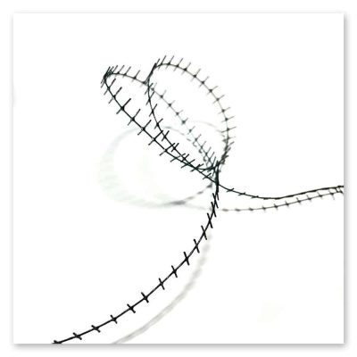 julie-levesque-boundary-double-loop-sh